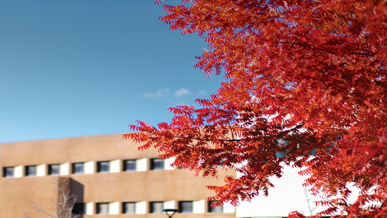 Registration for UNM